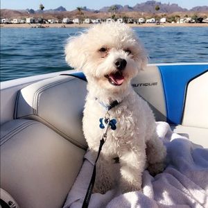 Meet your Posher, Eden